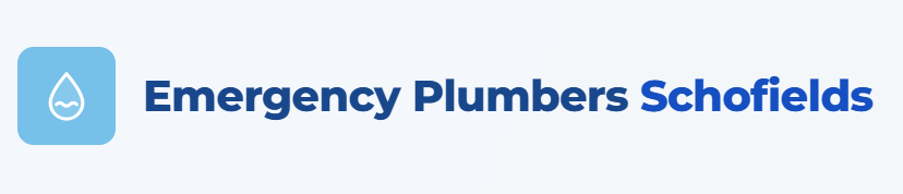 Emergency Plumbers Schofields